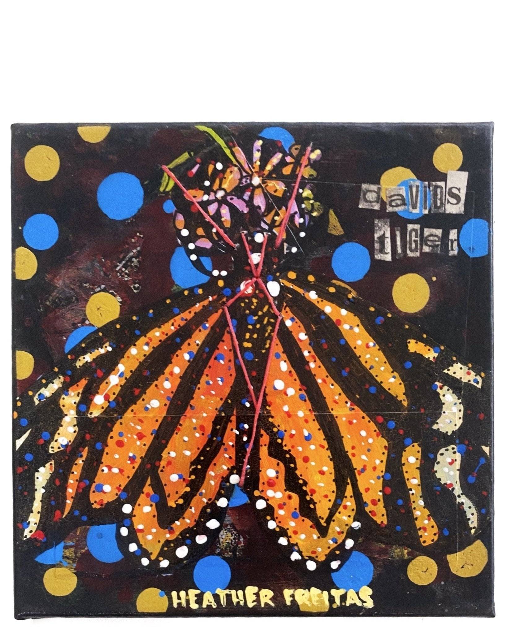 Parantica Davidi (CR) David’s Tiger - Heather Freitas