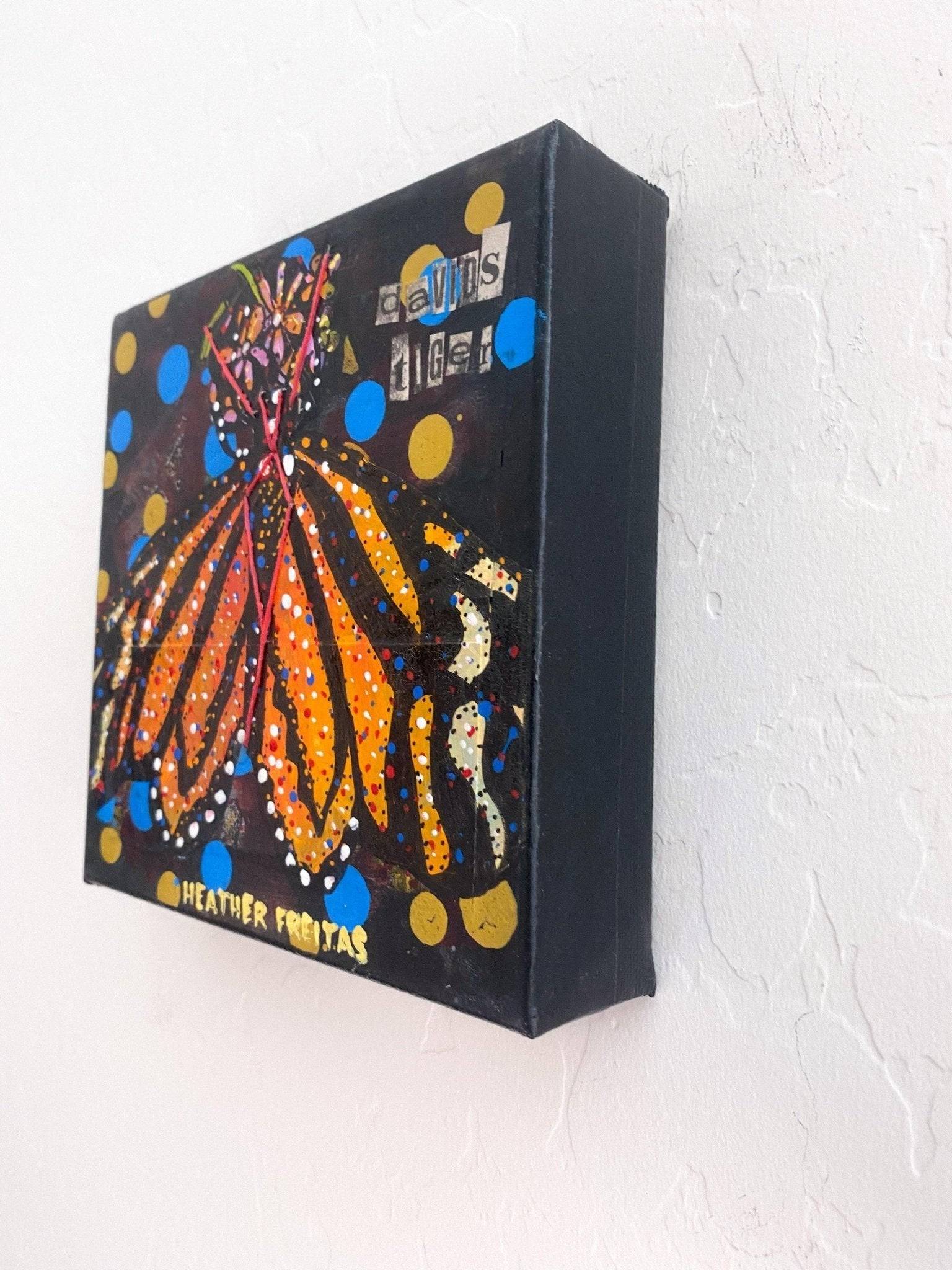 Parantica Davidi (CR) David’s Tiger Heather Freitas