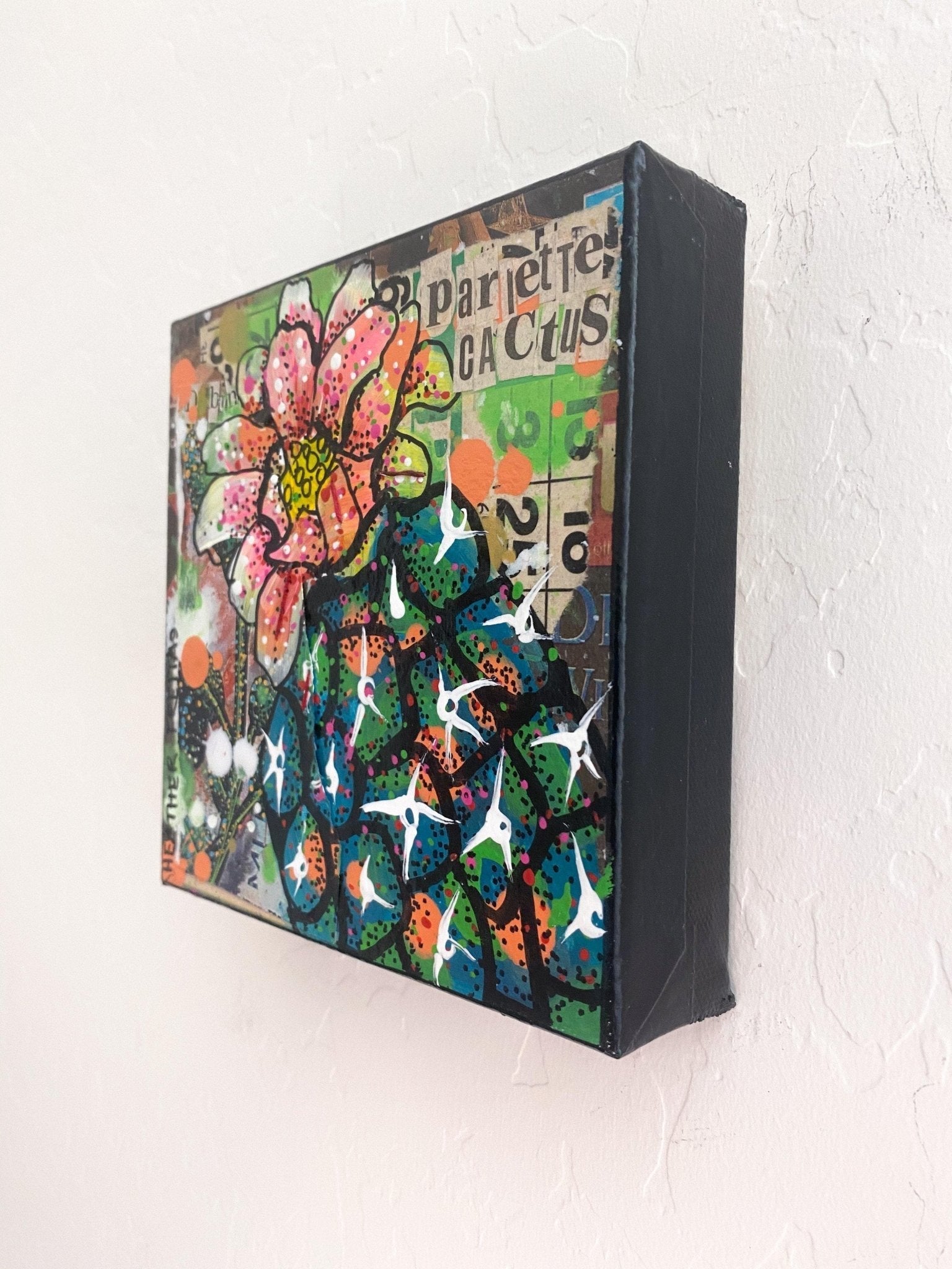 Pariette Cactus Heather Freitas