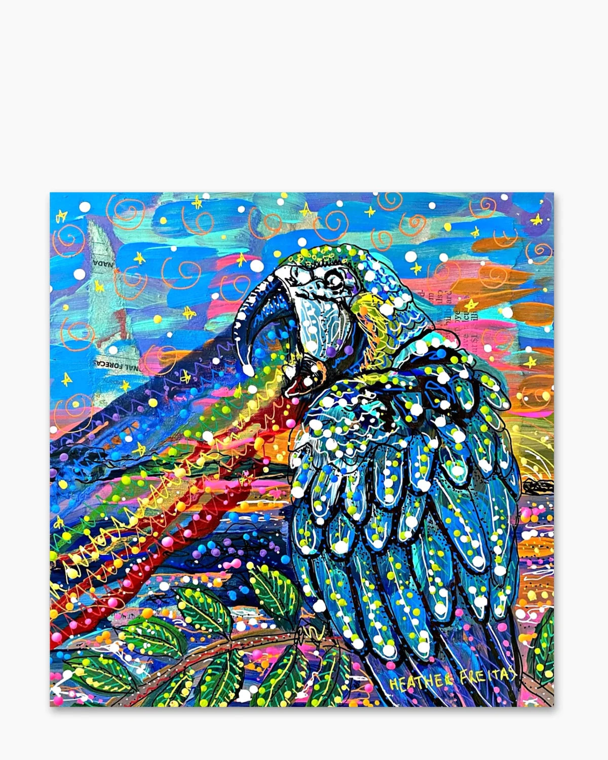 Parrot Paradise & Rainbow Tides - Heather Freitas