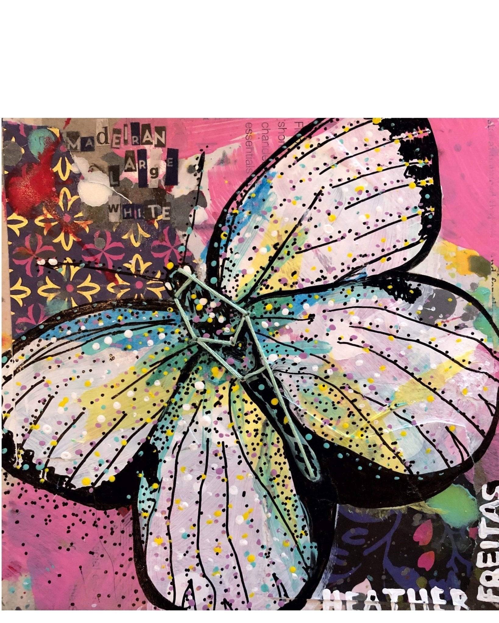 Pieris Wollastoni (E) Madeiran Large White - Heather Freitas