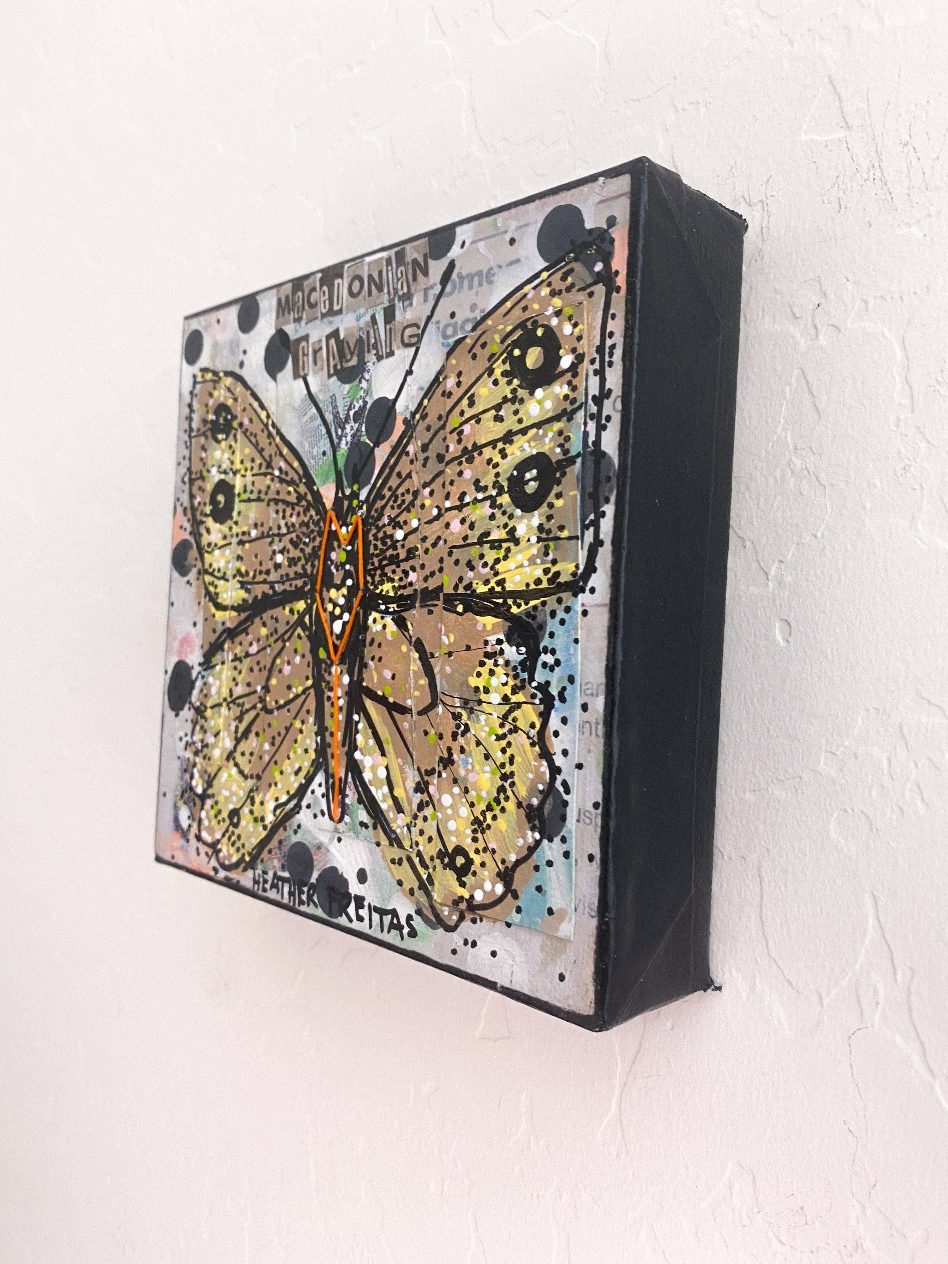 Pseudochazara Cingovskii (CR) Macedonian Grayling Heather Freitas