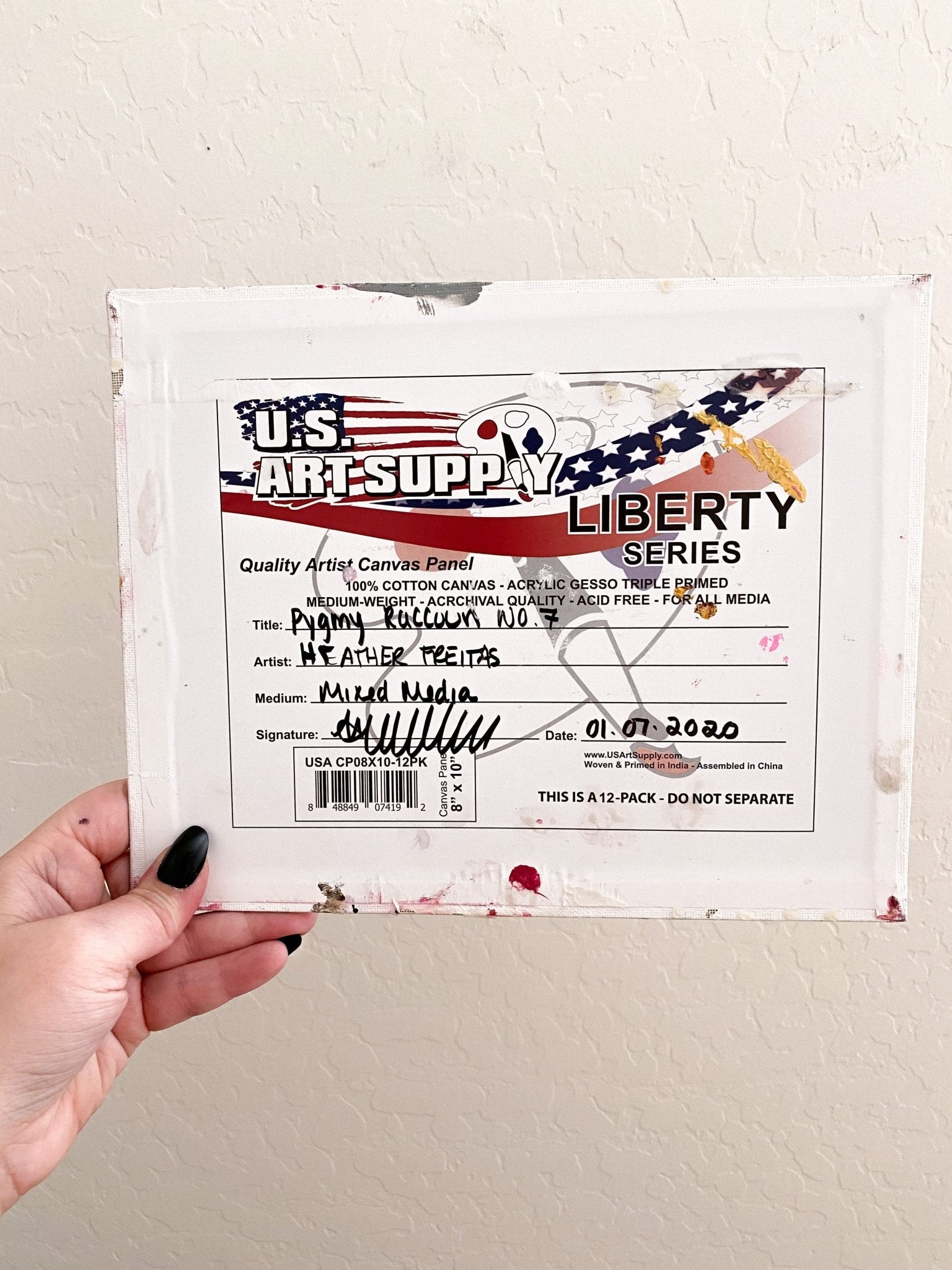 Pygmy Raccoon Heather Freitas