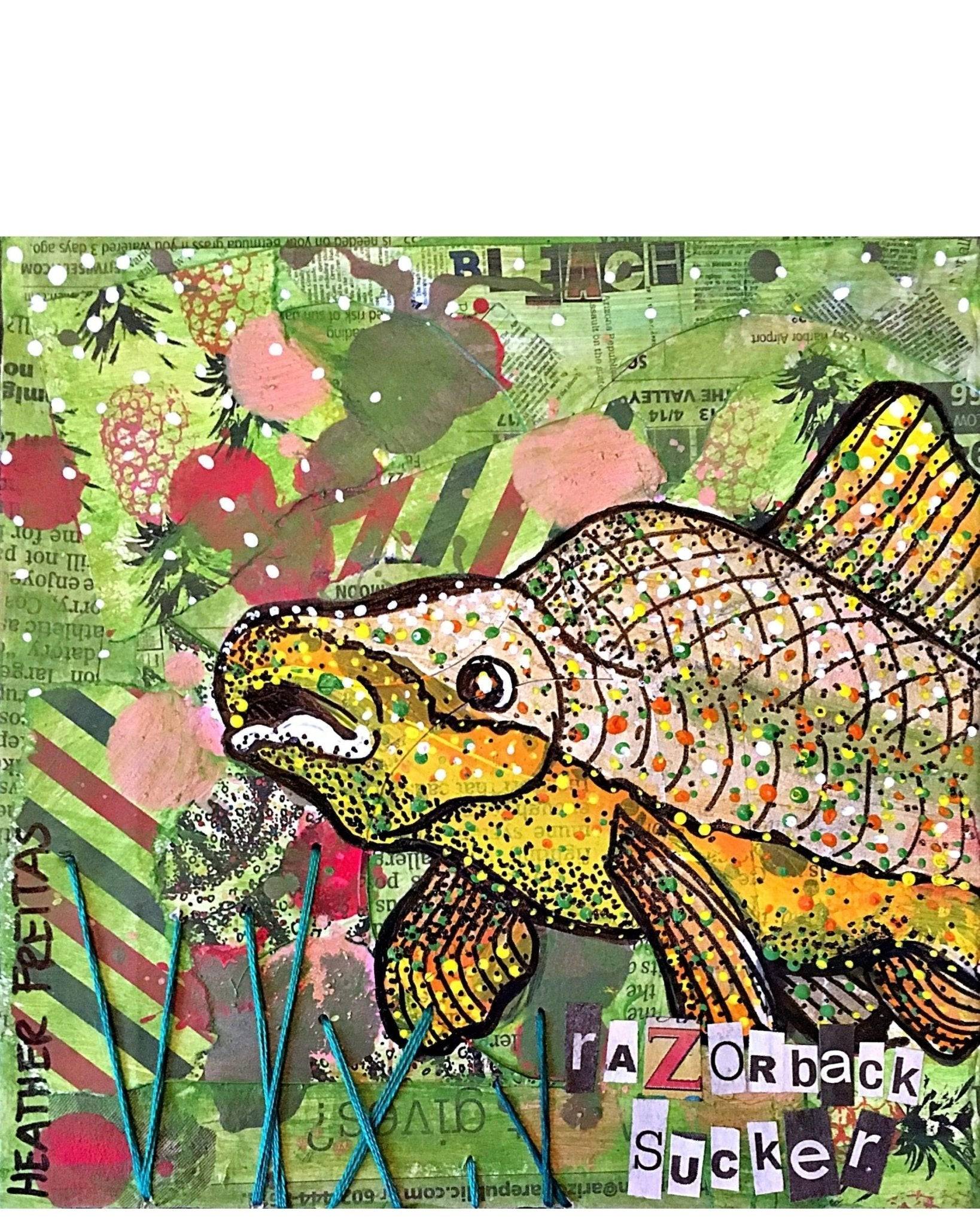 Razorback Sucker - Heather Freitas