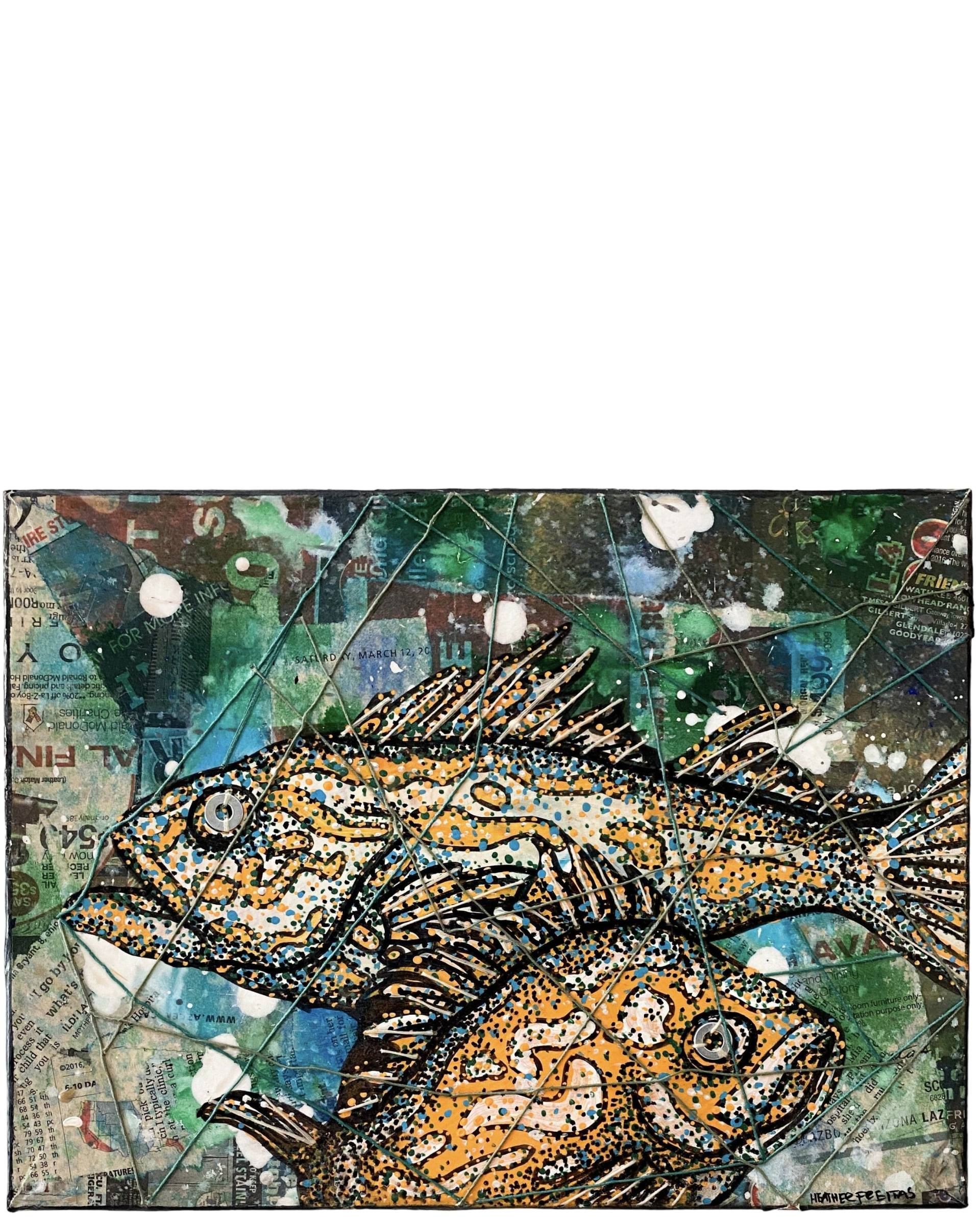 Rockfish - original painting - Heather Freitas