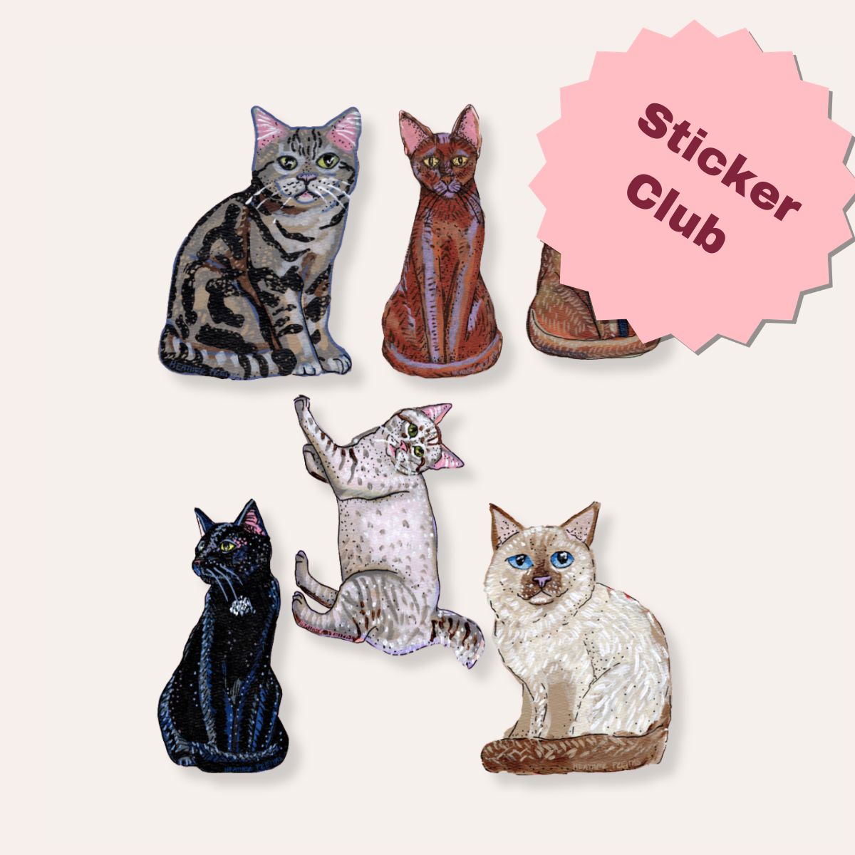 Sticker Club ( Get 6 sticker & Free Shipping )