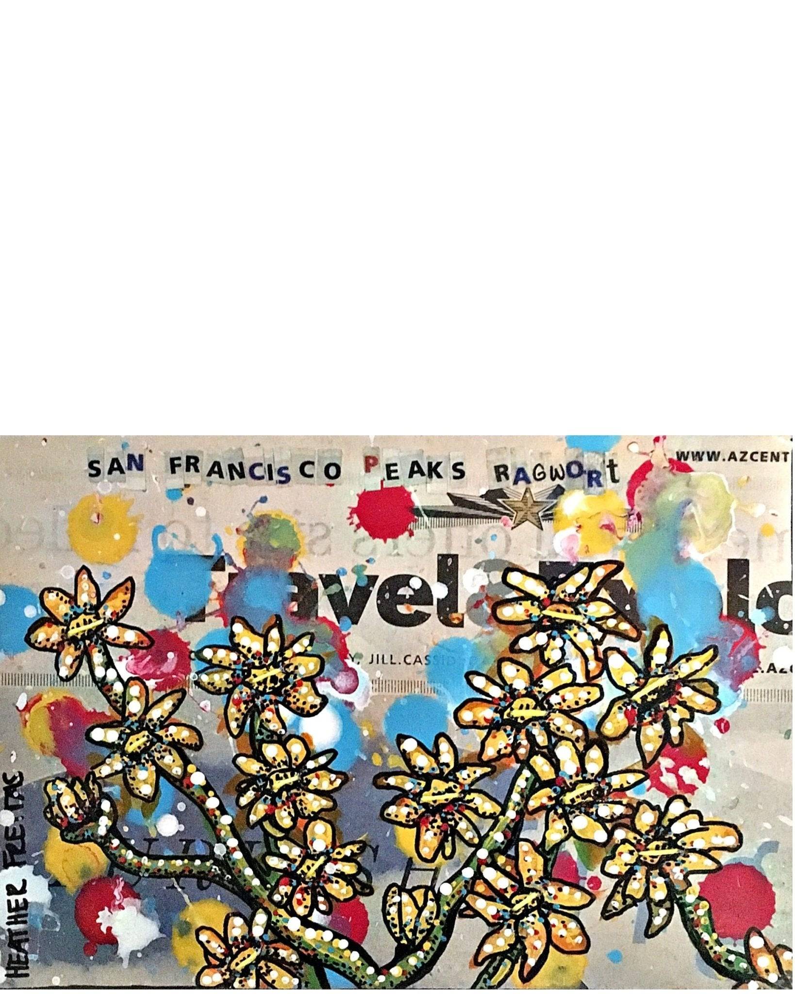 San Francisco Ragwort - Heather Freitas - fine art home deccor