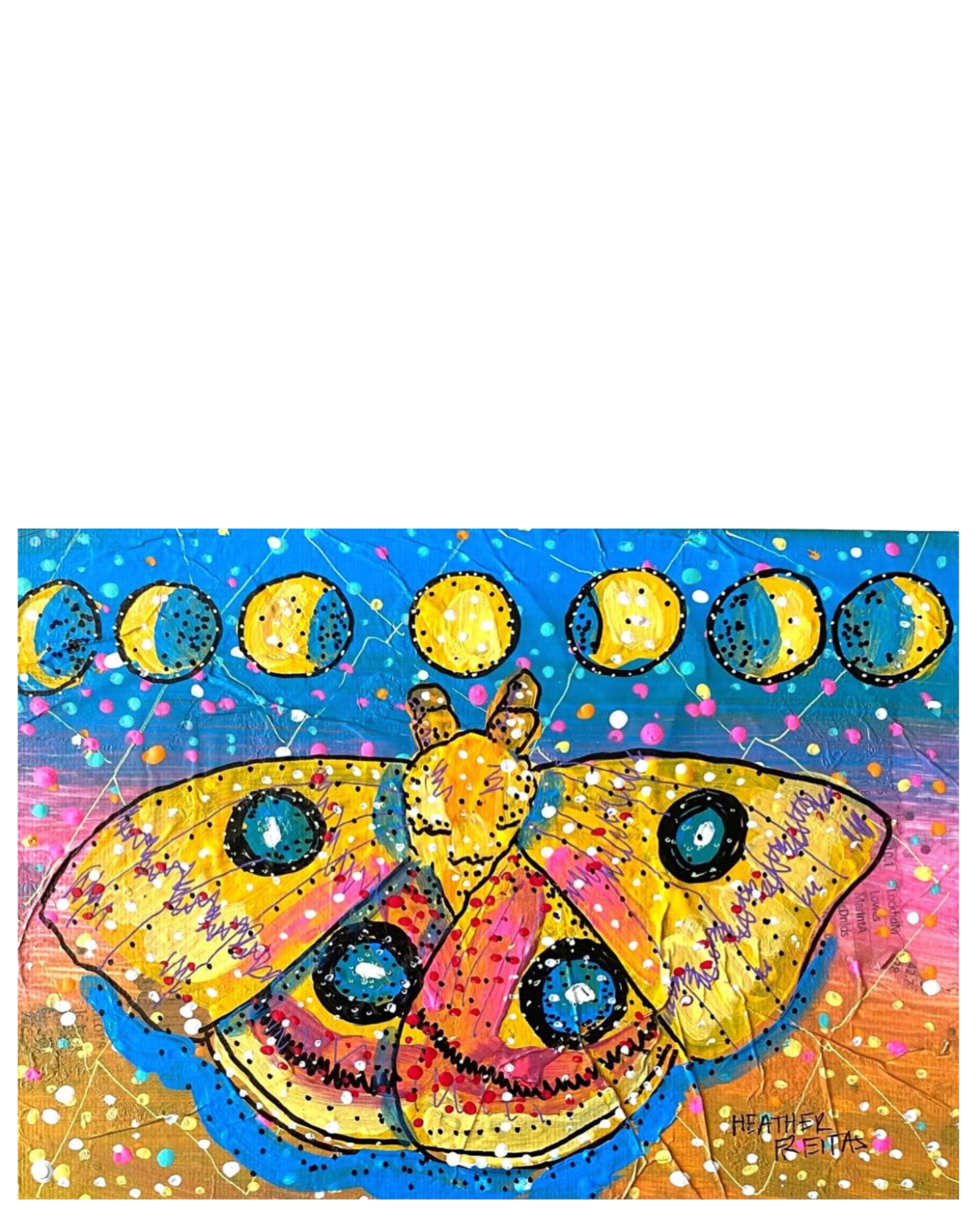 Sunny Moth - Heather Freitas