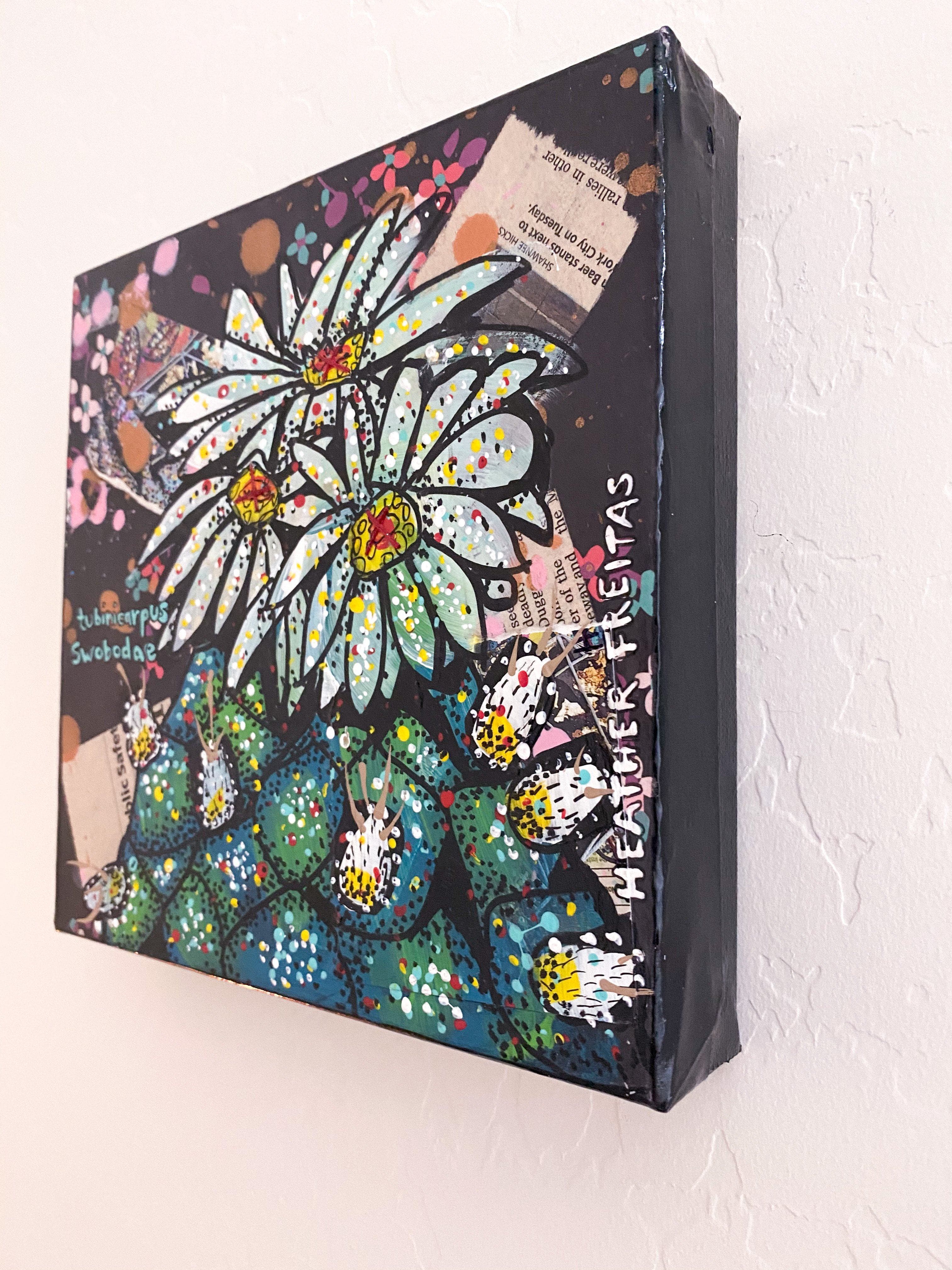 Tubinicarpus Swobodae Cactus Heather Freitas