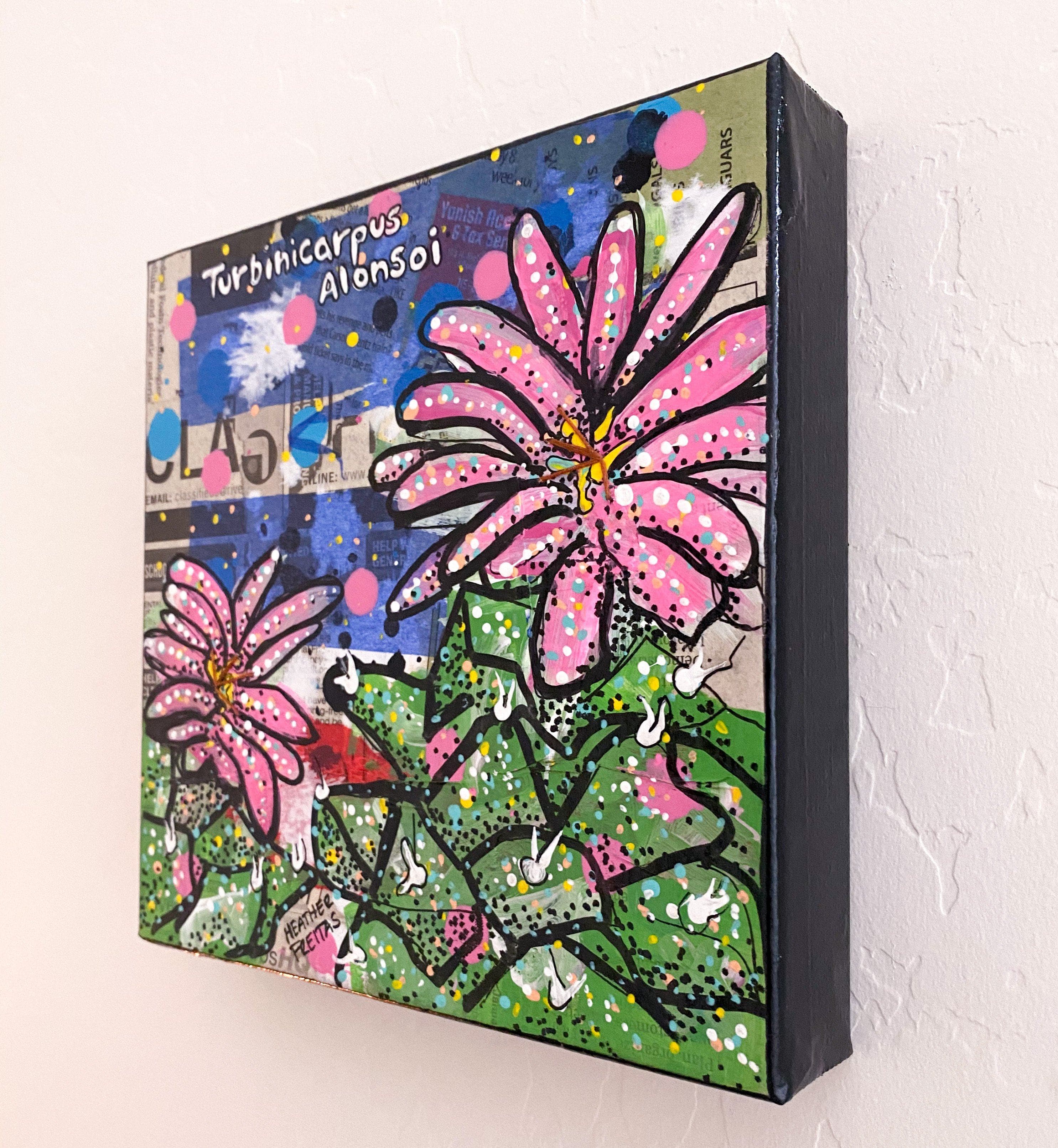 Turbinicarpus Alonsoi Cactus Heather Freitas