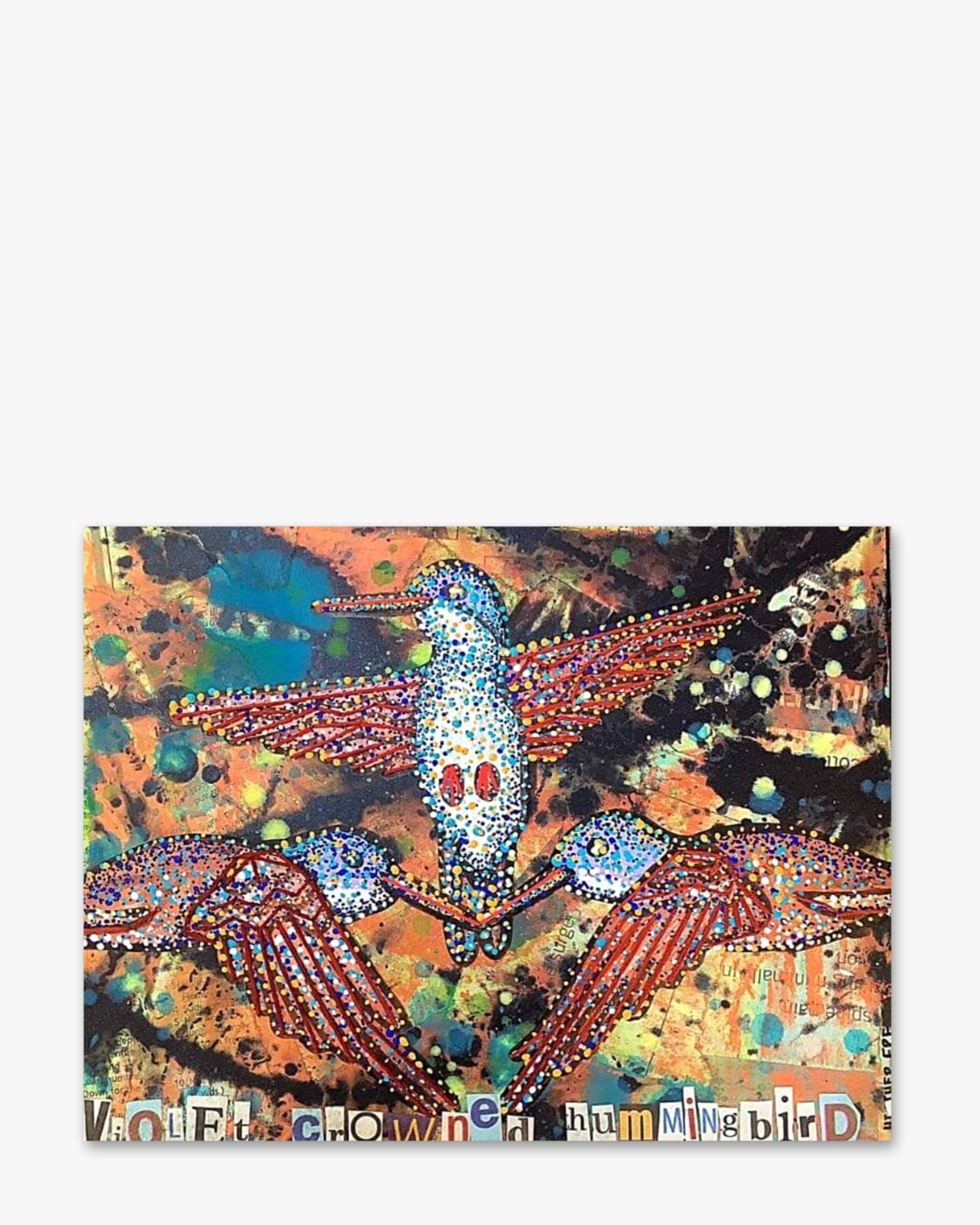 Violet Crowned Hummingbird