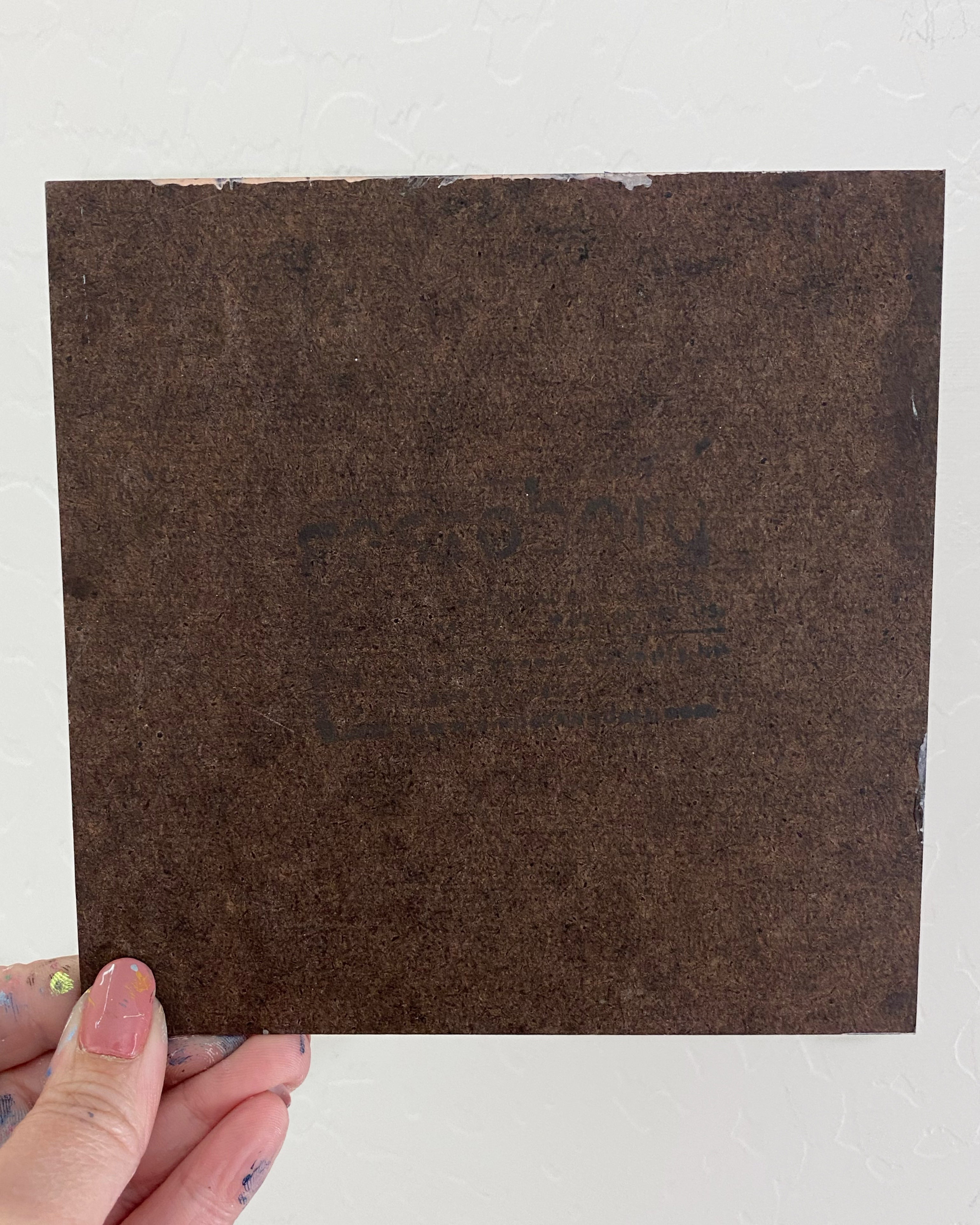 Wash Your Paws Cat Study - Heather Freitas