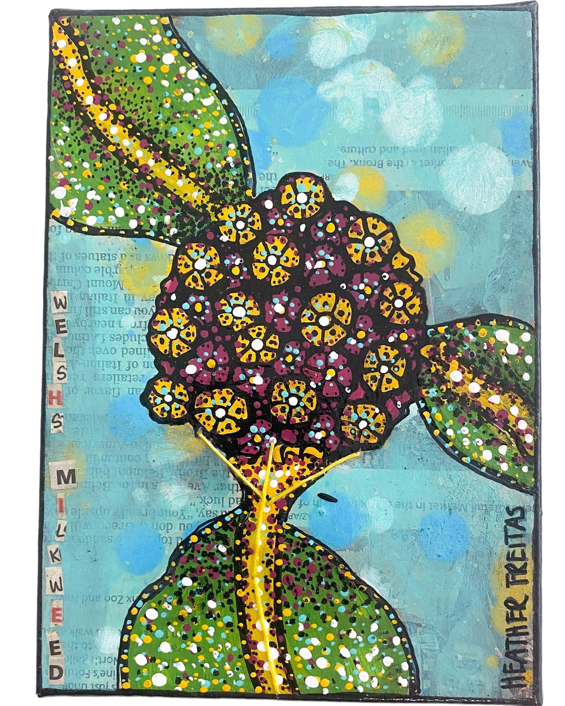 Welch’s Milkweed - Heather Freitas