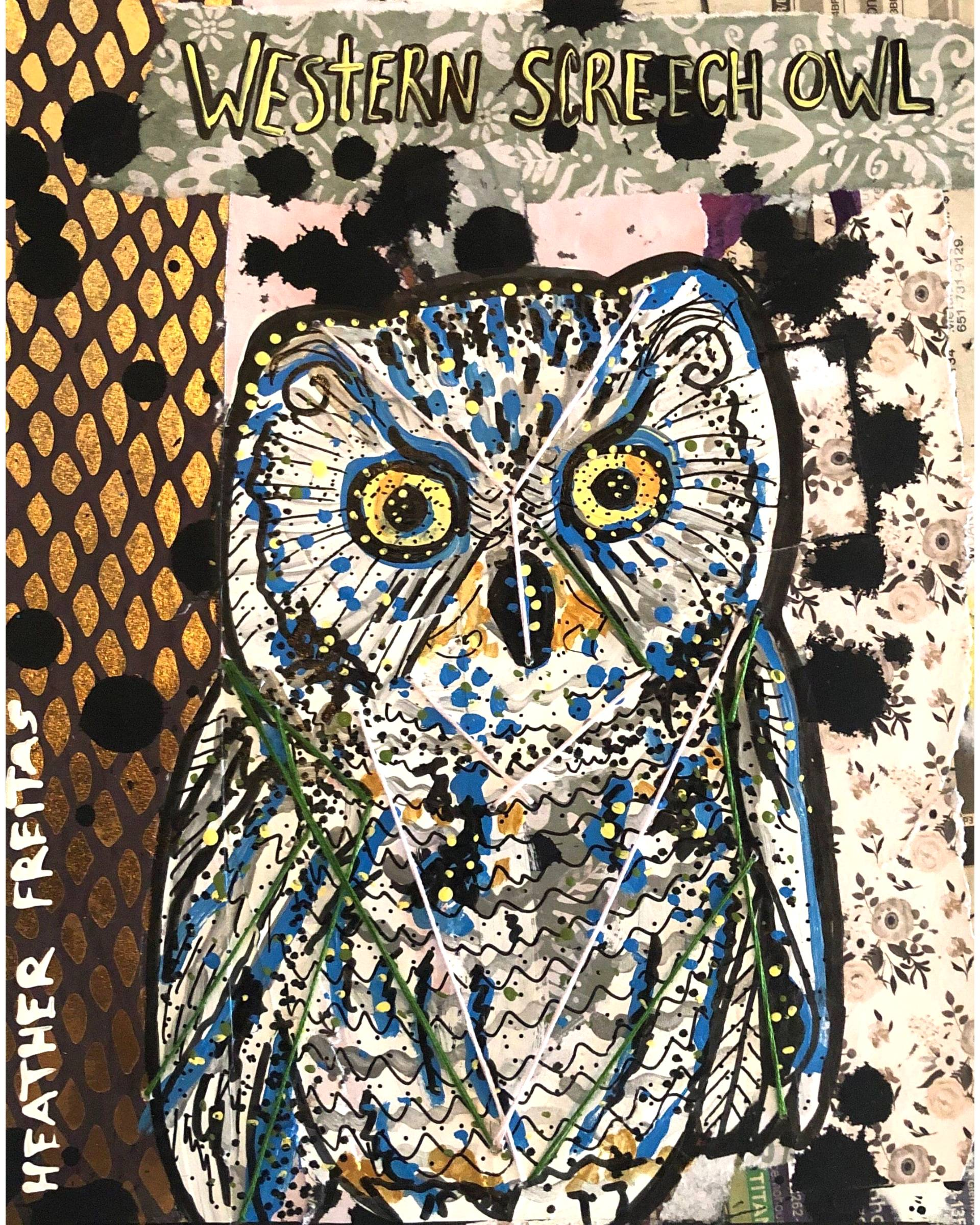 Western Screech Owl - Heather Freitas