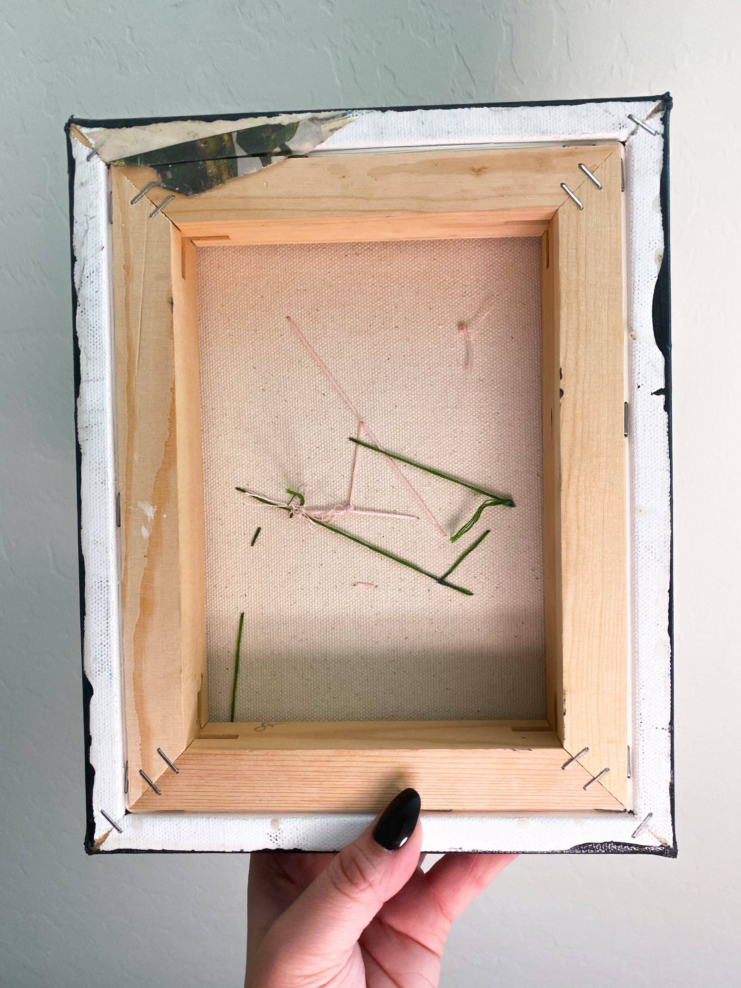 Western Screech Owl Heather Freitas