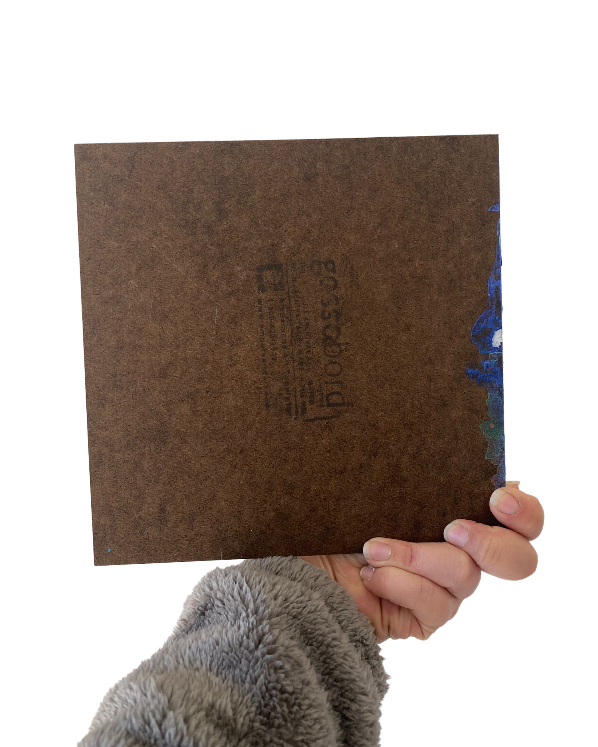 White Horse Vibes & Rainbow Tides - Heather Freitas