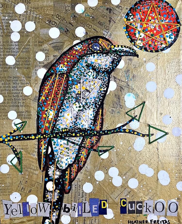 Yellow Billed Cuckoo Heather Freitas