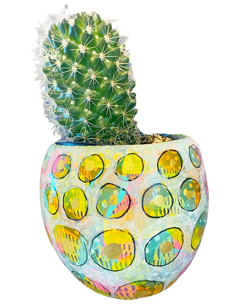 Sunshine Tides Yoshi Wall Planter With 23k Gold Accents