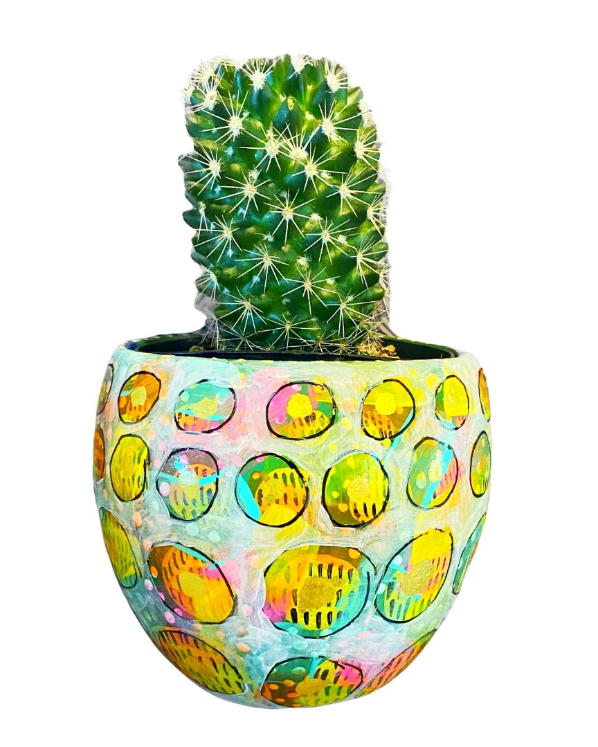 Sunshine Tides Yoshi Wall Planter With 23k Gold Accents