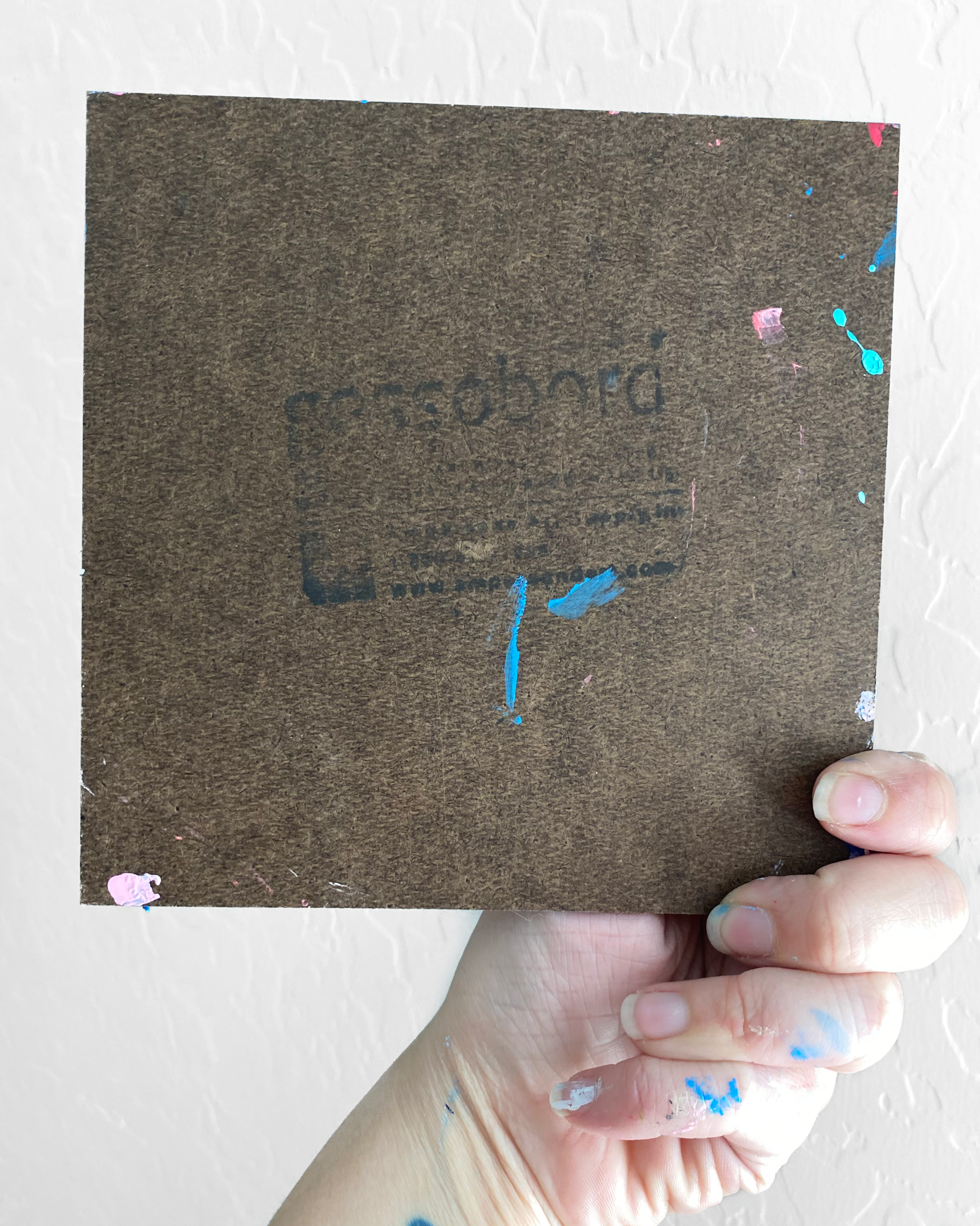 Sunset Cherry Blossom Butterfly - Heather Freitas