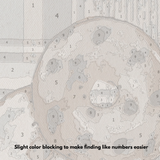 Bagel - Paint by Numbers Kit
