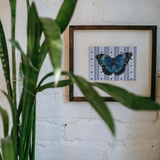 Blue Butterfly Mini Fine Art Print