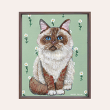 Ragdoll Cat Framed Fine Art Canvas Print