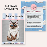 Ragdoll Cat Magnet ( Die-Cut )