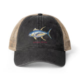Blue Fin Tuna Women's Washed Mesh-Back Cap