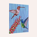 Hummingbirds & Ocotillo Flower Fine Art Paper Print