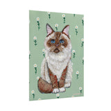 Ragdoll Cat Art Print