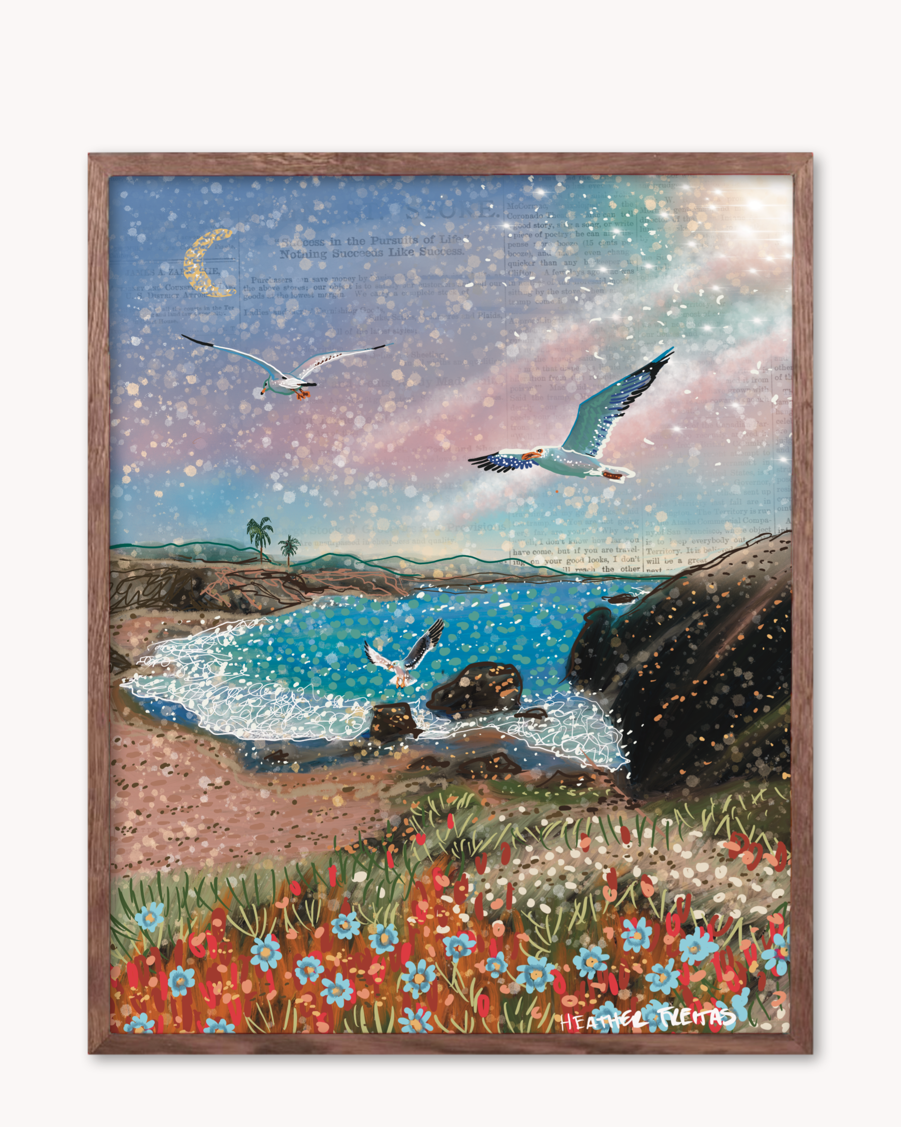 Gull - Limited Edition Print
