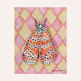 Bella Moth Fine Art Paper Print