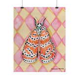 Bella Moth Fine Art Paper Print