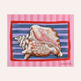 Conch Fine Art Paper Print