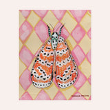 Bella Moth Fine Art Paper Print