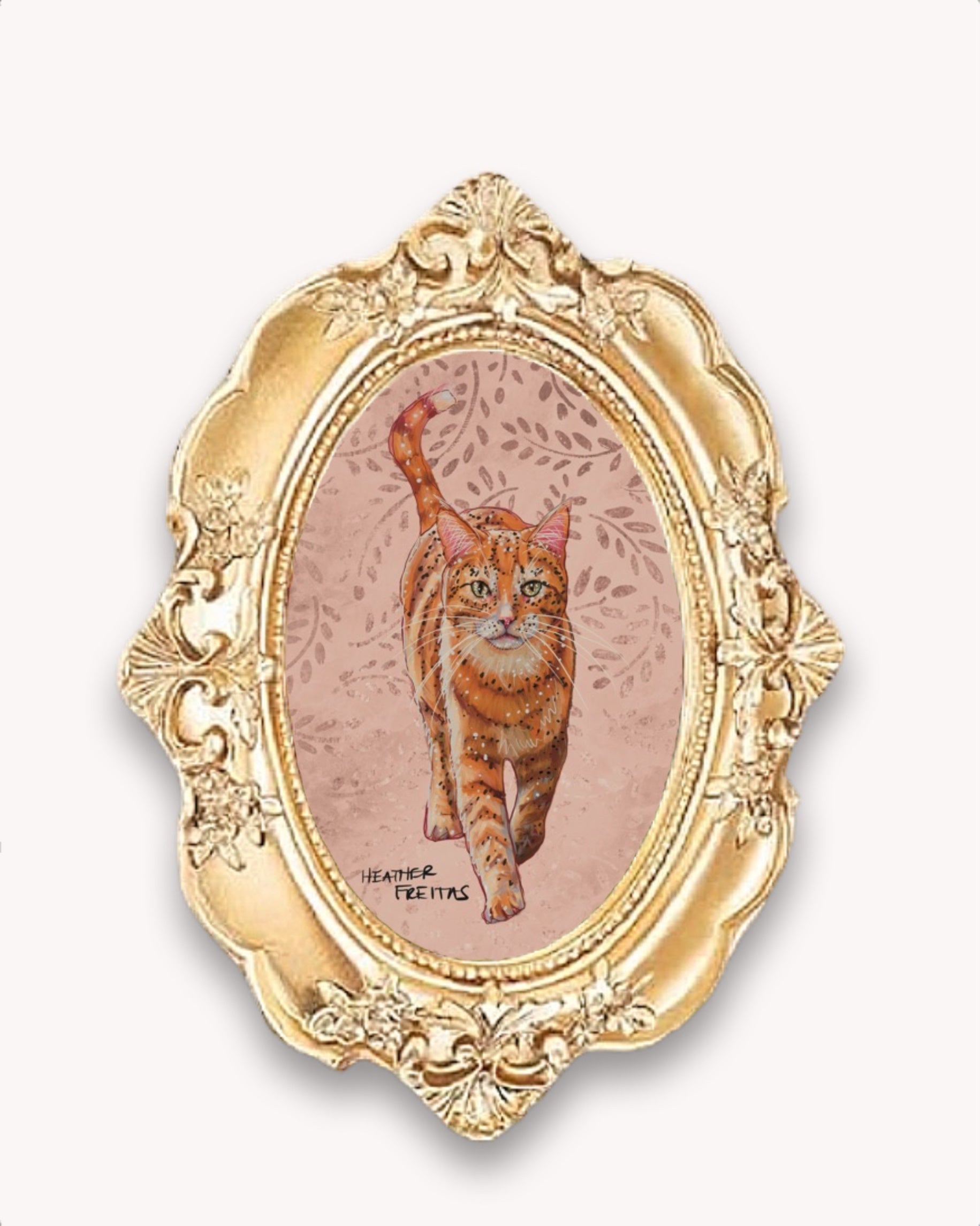 Orange Tabby Framed Magnet ( Small )