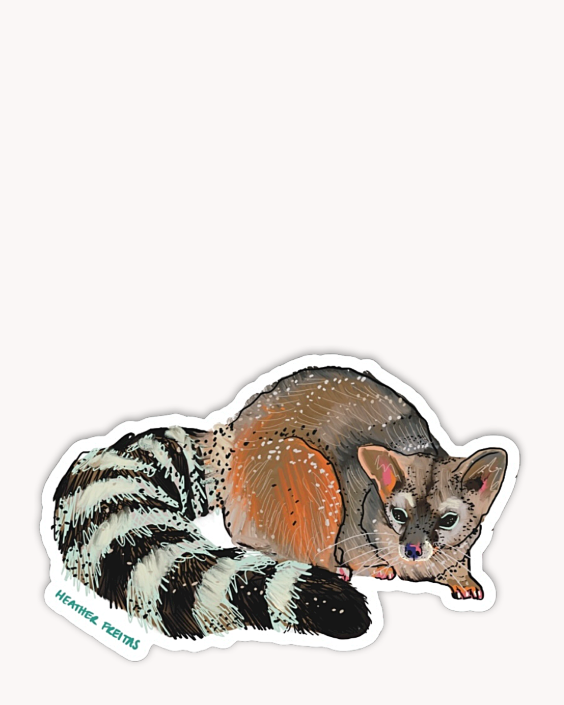 Ringtail Cat Sticker