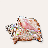Conch Sticker