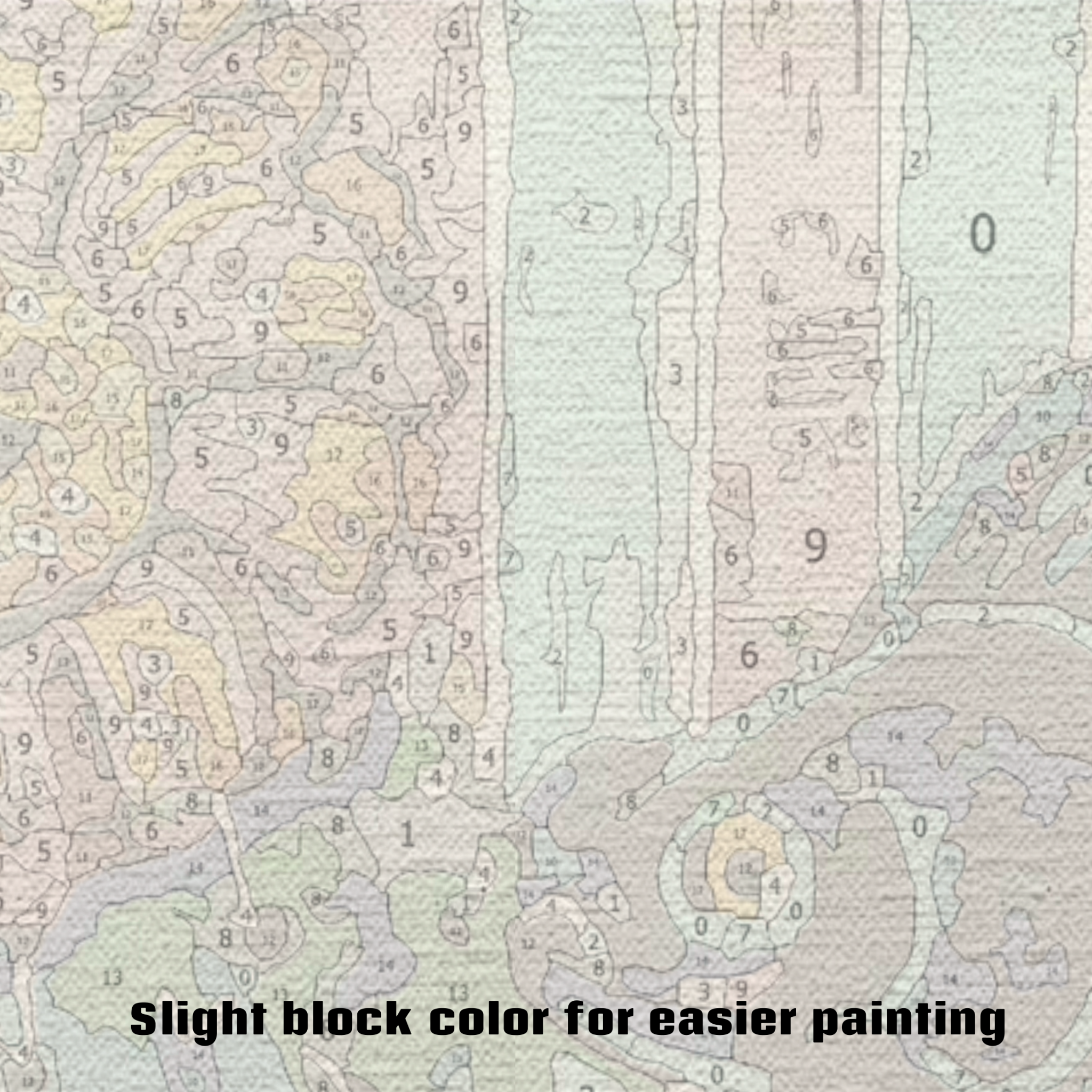 Cactus Goldfish - Paint by Numbers Kit