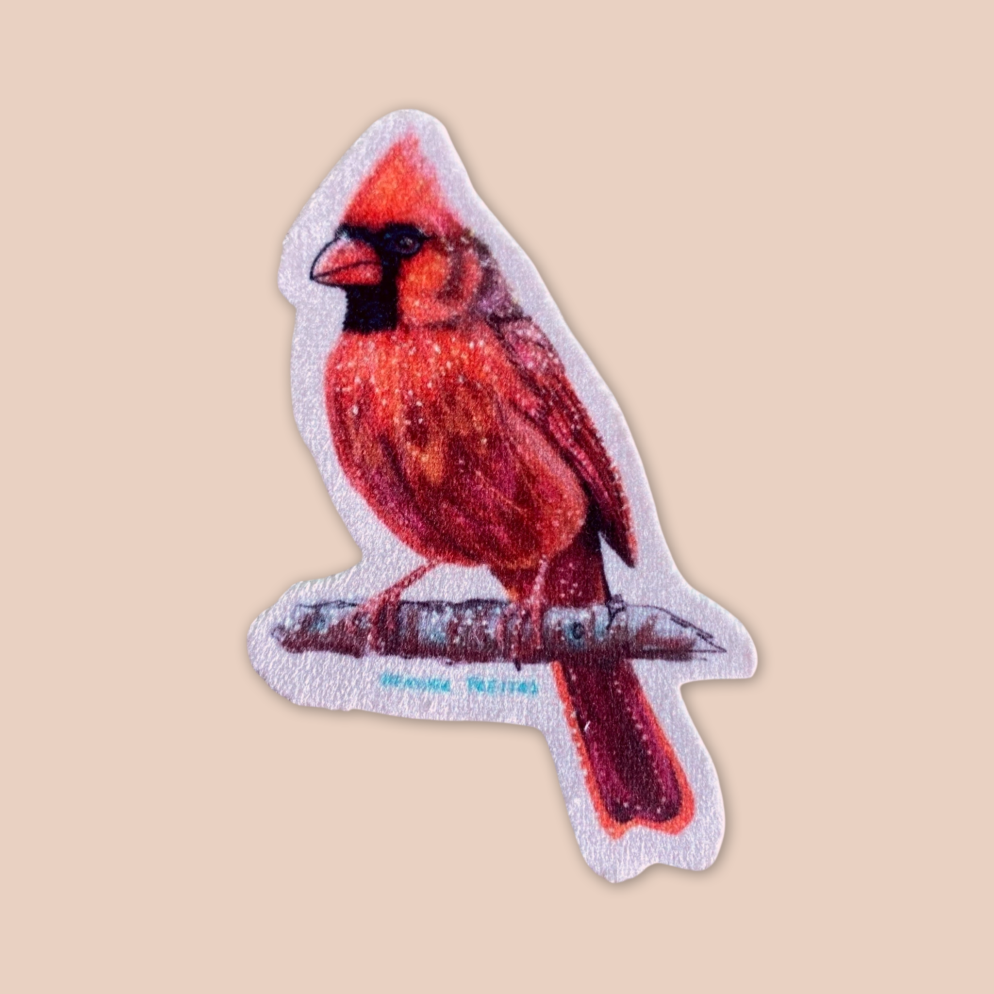 Cardinal - Sew On Velveteen Patch