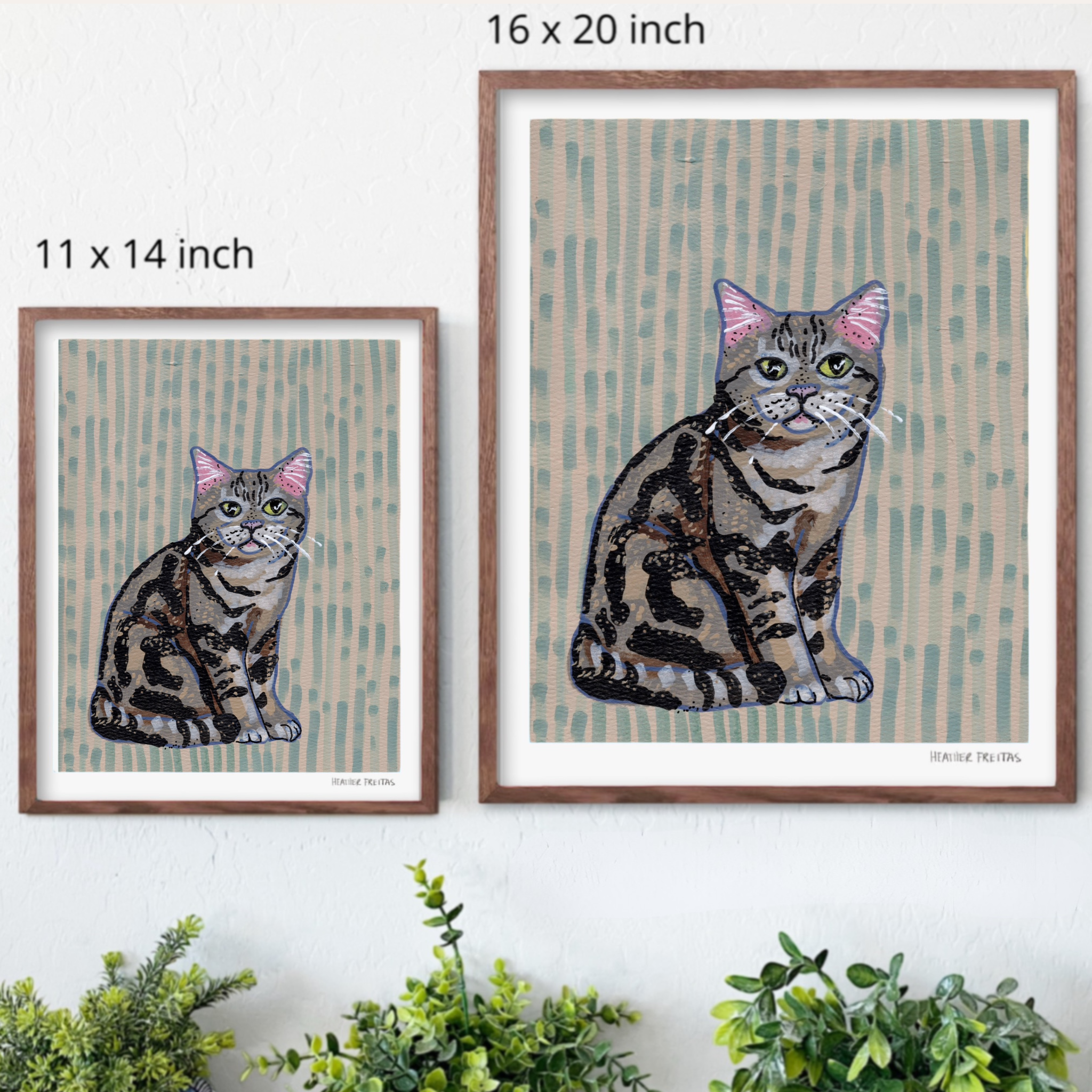 American Shorthair Cat Fine Art Print
