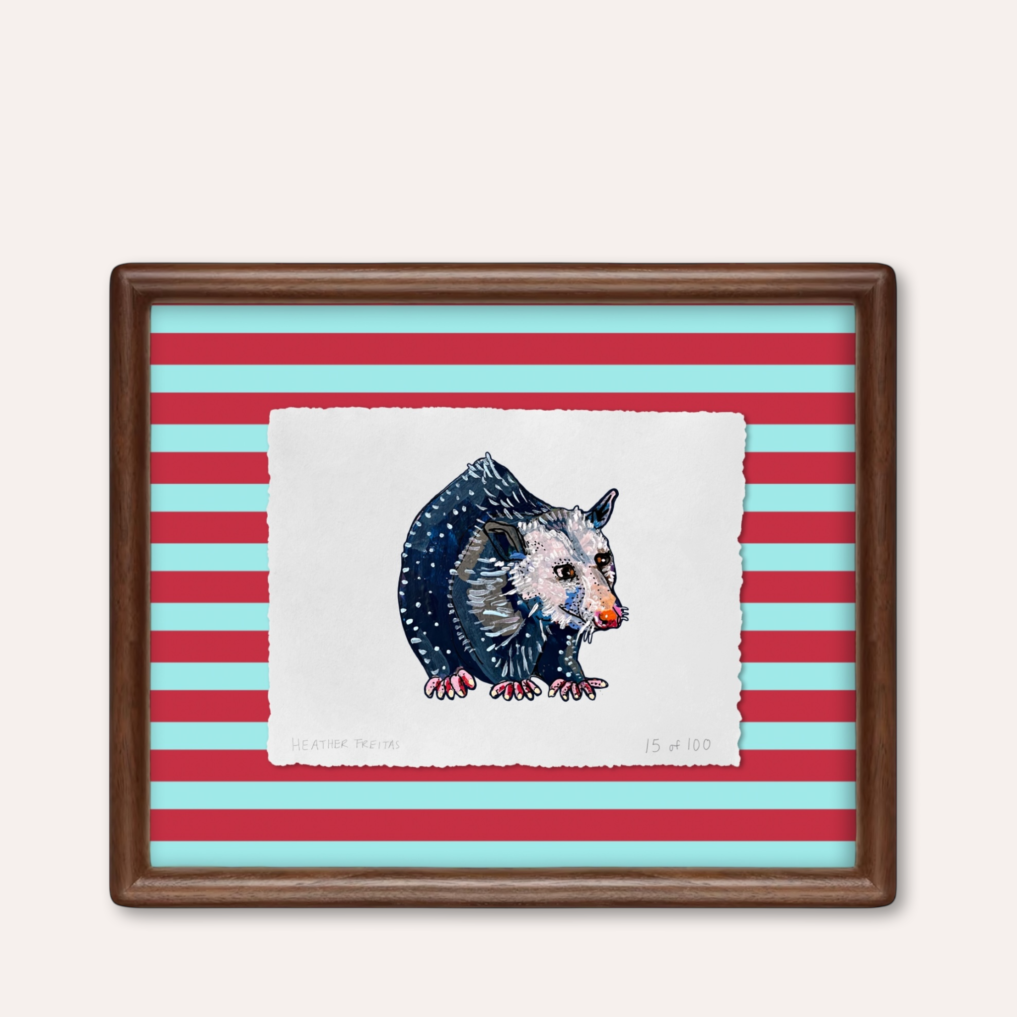 Opossum Limited Edition Framed Print