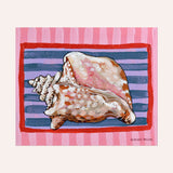 Conch Fine Art Paper Print