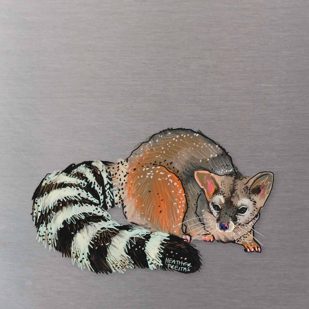 Ringtail Cat Magnet ( Die-Cut )