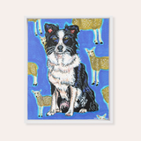 Boarder Collie Framed Fine Art Canvas Print