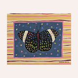 Starry Night Cracker Butterfly Fine Art Paper Print