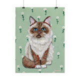 Ragdoll Cat Art Print