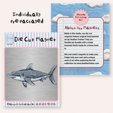 Great White Shark Magnet ( Die-Cut )