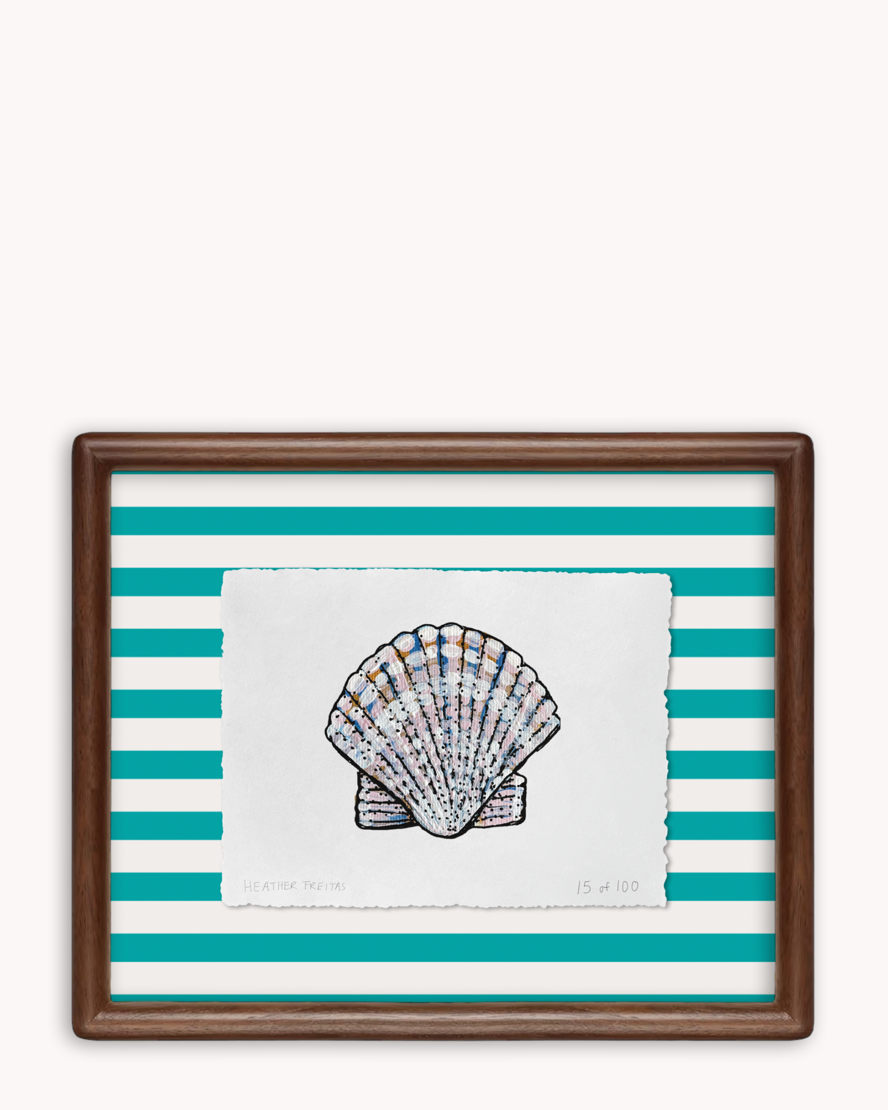 Shell Limited Edition Framed Print